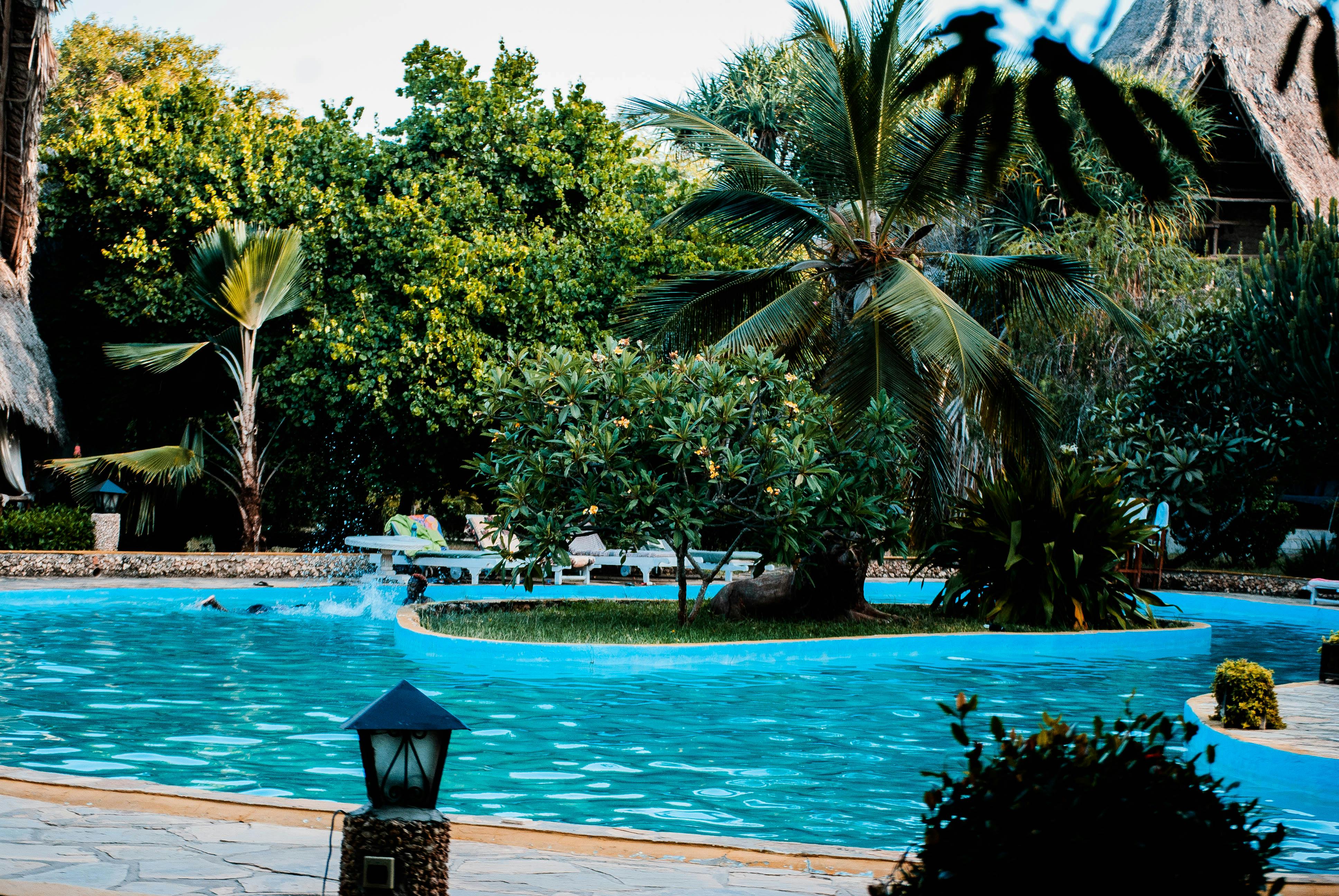 Beachfront View